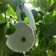 Illustration for article titled Vegetable orchestra: grow your own guitar